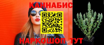 гидра Комсомольск-на-Амуре