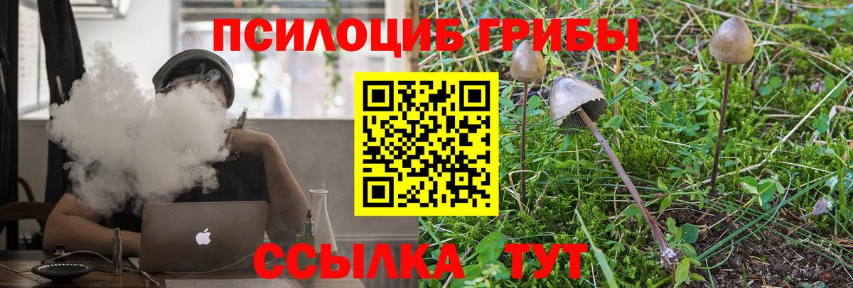 Майкоп  Псилоцибиновые грибы мицелий  Вход с VPN 