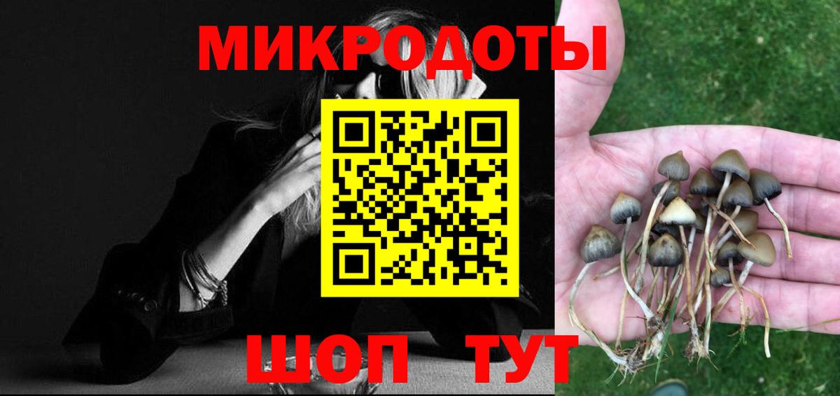 Галлюциногенные грибы мухоморы Майкоп